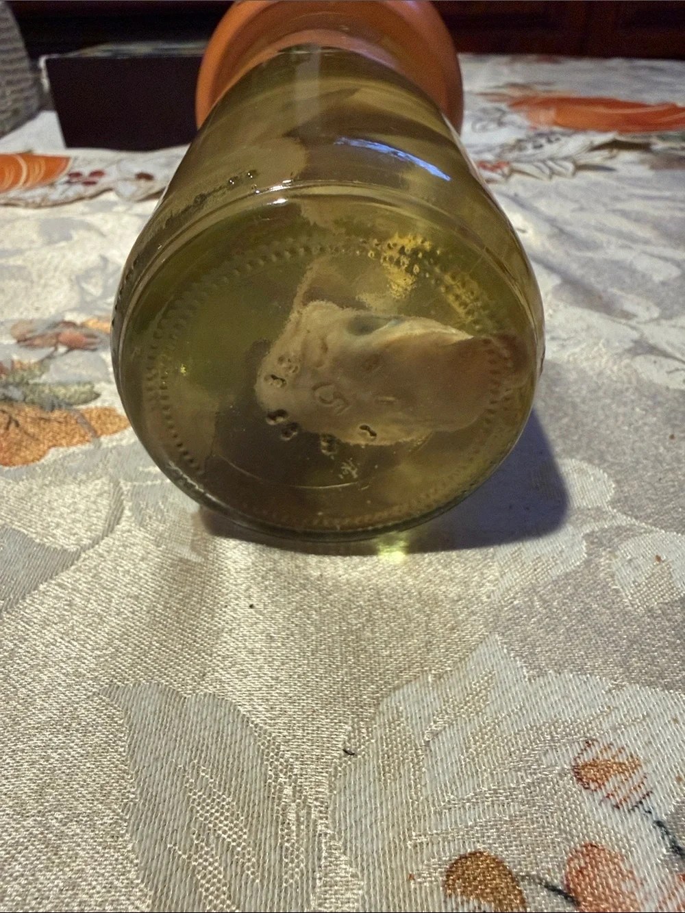 Tan Shark Aquarium Ornament in Glass Jar - Decorative Fish Accent